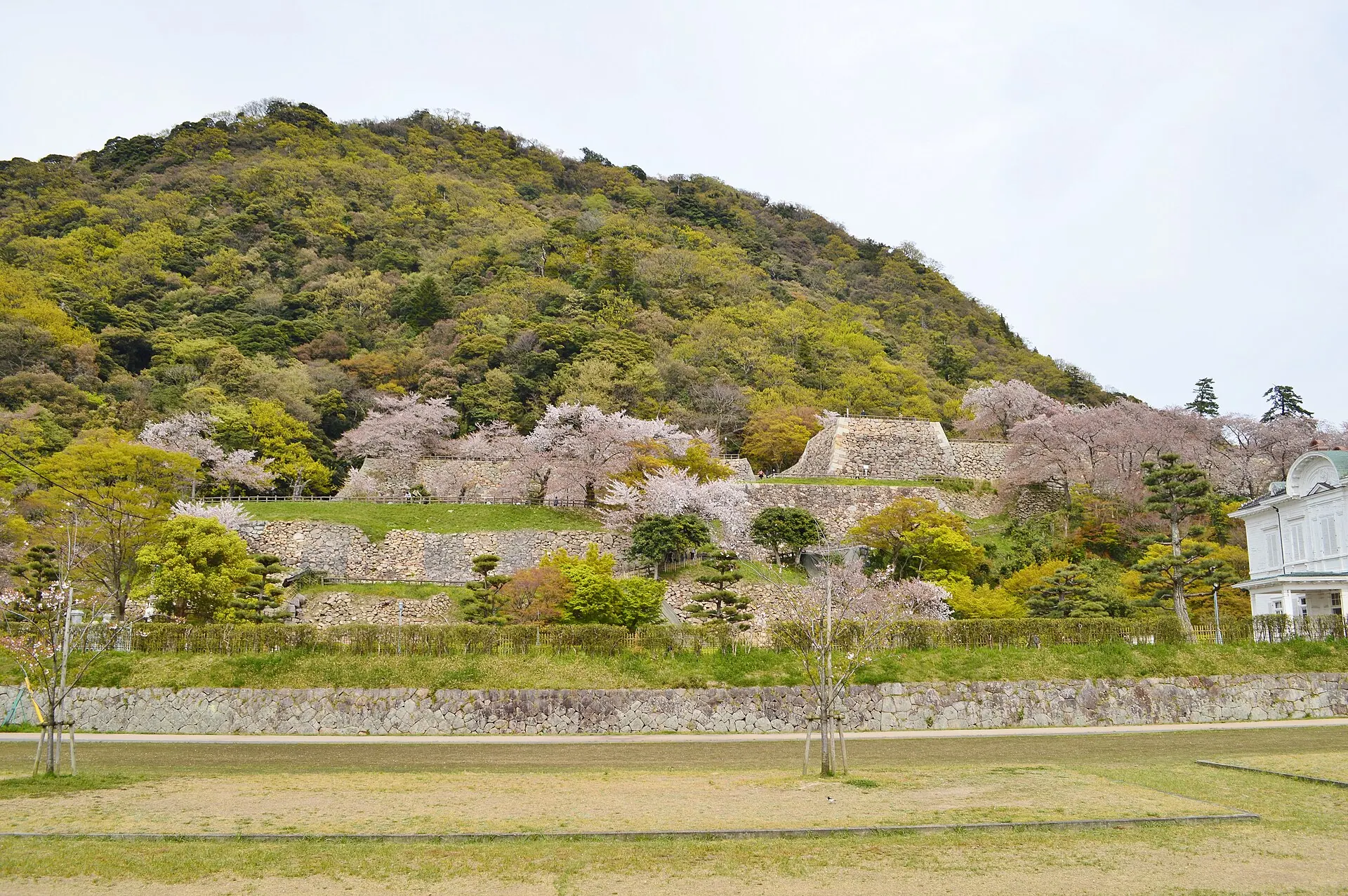 鳥取城